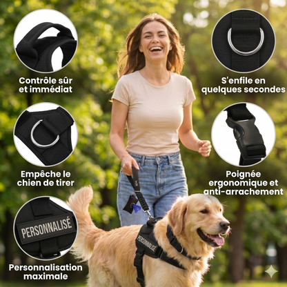 Harnais Luxeon™ – Stop aux tiraillements, contrôle total