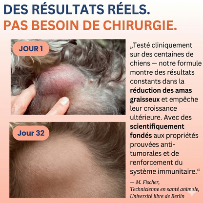 Luxeon® Champignon médicinal Turkey Tail + Probiotiques