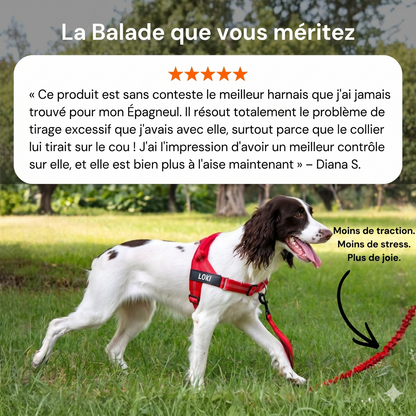 Harnais pour chien anti-traction Luxeon