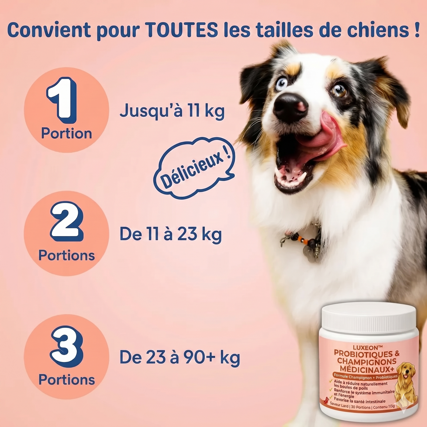 Luxeon® Champignon médicinal Turkey Tail + Probiotiques
