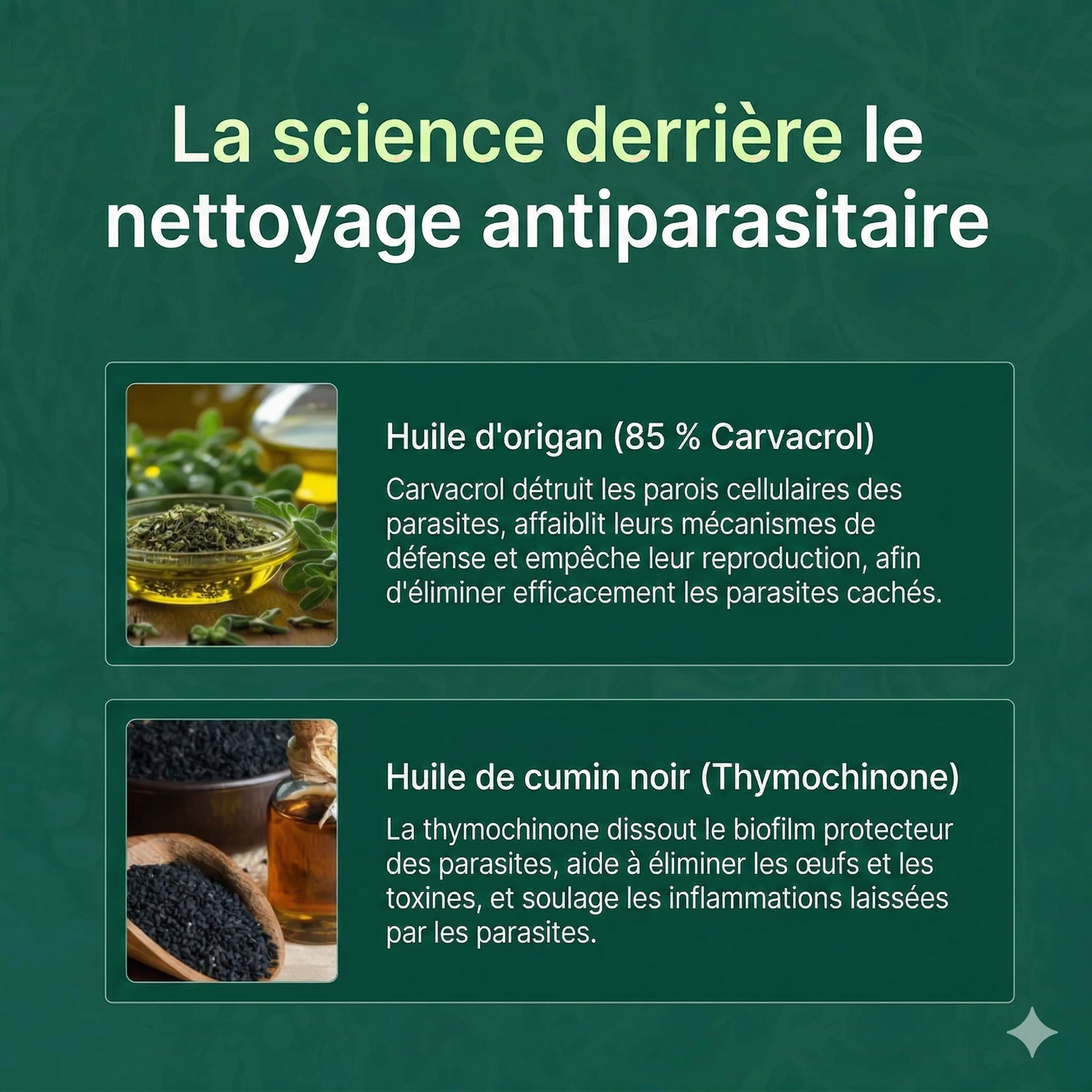 Luxeon™ - Orega Plus