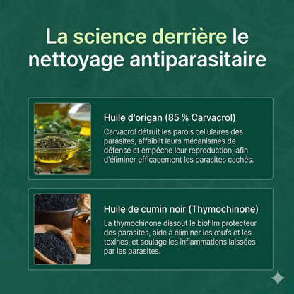 Luxeon™ - Orega Plus