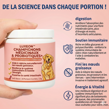 Luxeon® Champignon médicinal Turkey Tail + Probiotiques