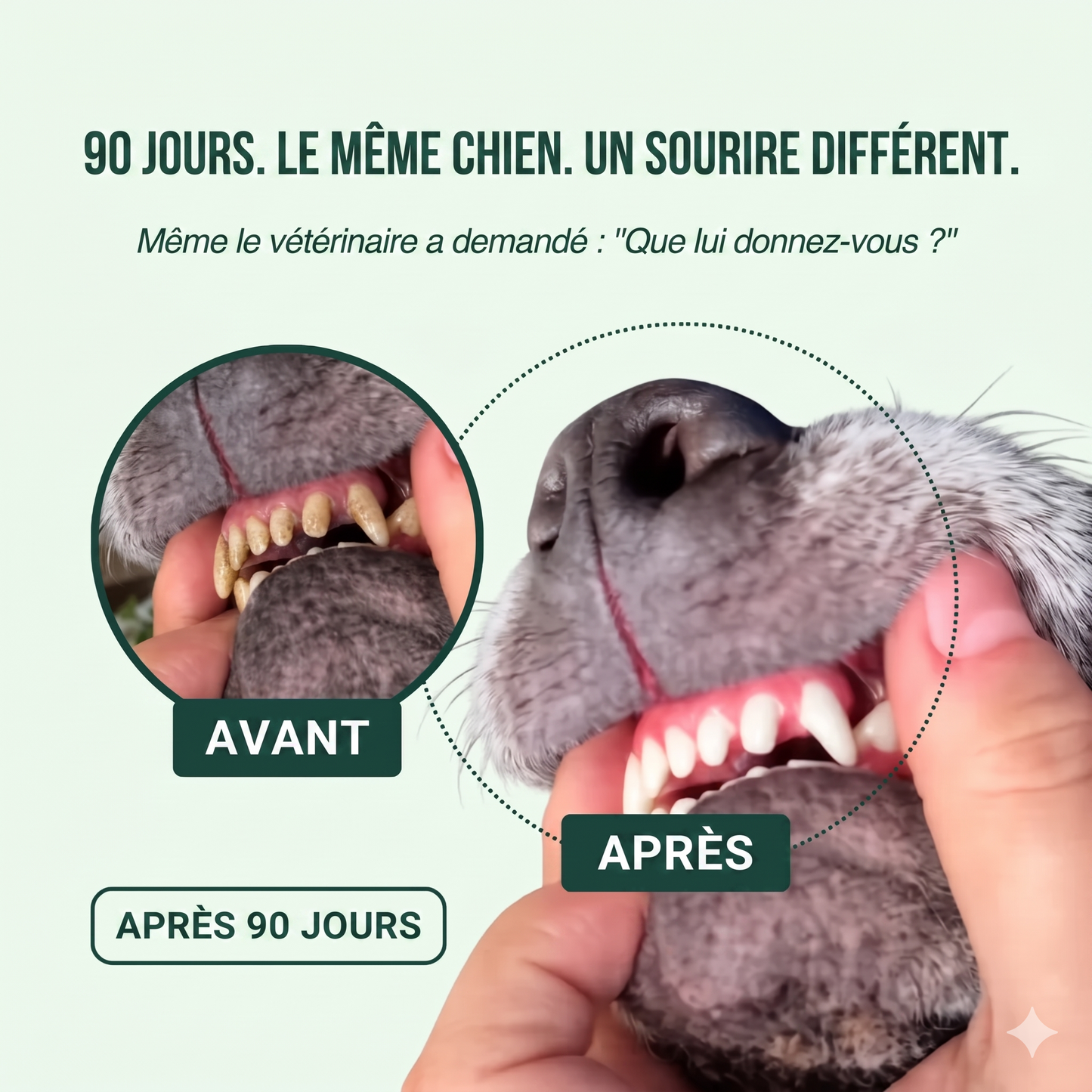 Spray dentaire Luxeon™