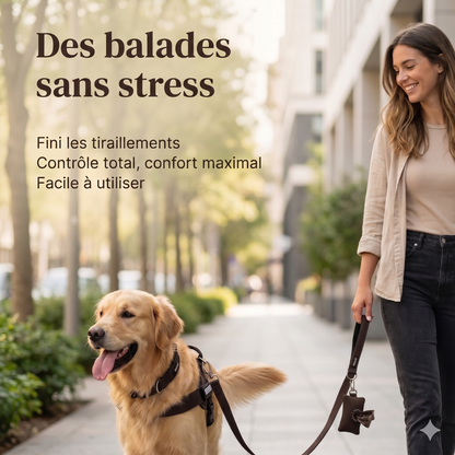 Harnais Luxeon™ – Stop aux tiraillements, contrôle total