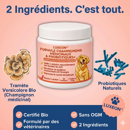 Luxeon® Champignon médicinal Turkey Tail + Probiotiques
