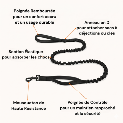 Harnais pour chien anti-traction Luxeon