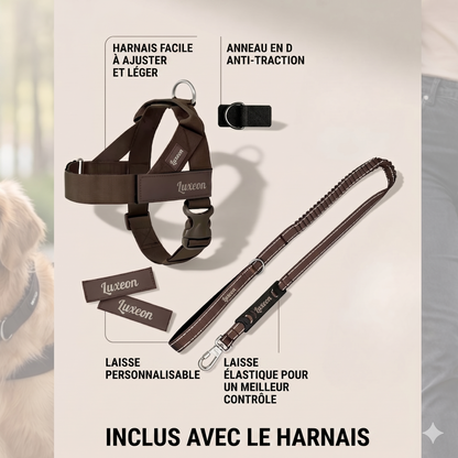 Harnais Luxeon™ – Stop aux tiraillements, contrôle total