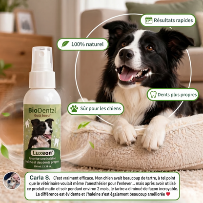 Spray dentaire Luxeon™