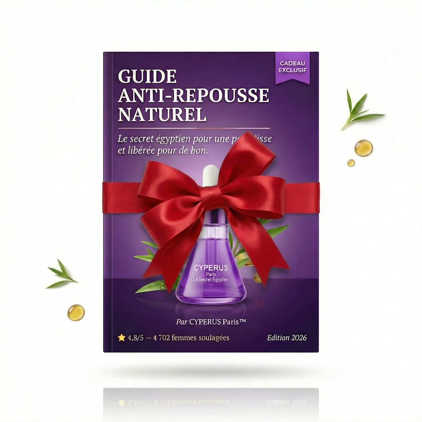 Guide de beauté égyptien