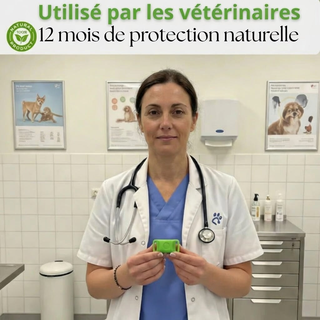 Pendentif Luxeon™ - 12 mois de protection naturelle pour chiens
