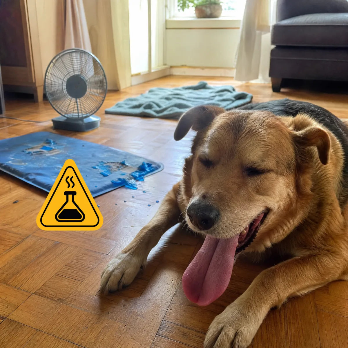 Chien qui halète, en difficulté avec la chaleur